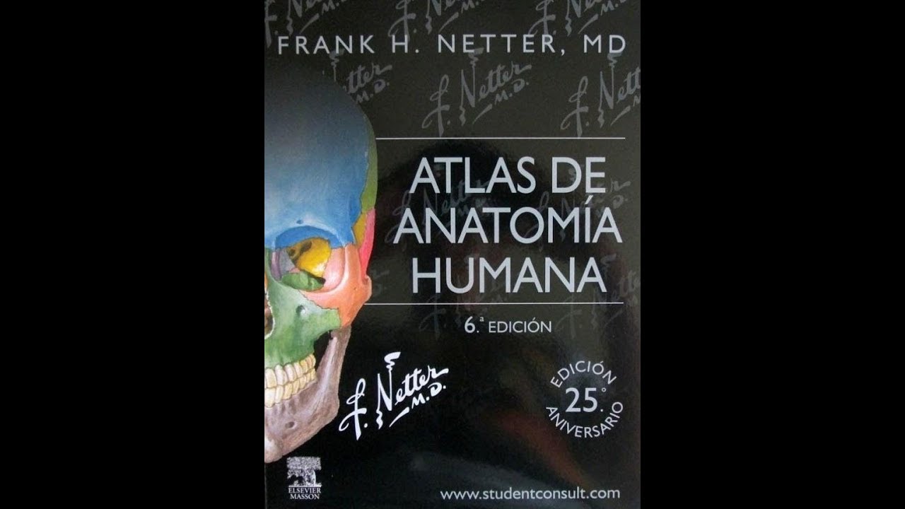 Netter Atlas De Anatomia Humana 6?ed Pdf Download